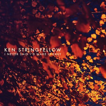 Ken Stringfellow Any Sign At All