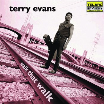 Terry Evans A Stone's Throw Away