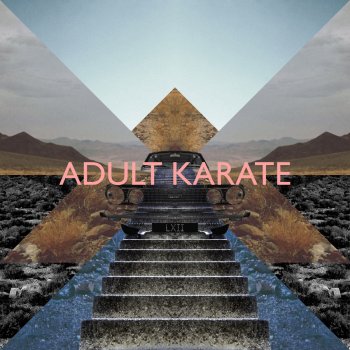 Adult Karate Chased