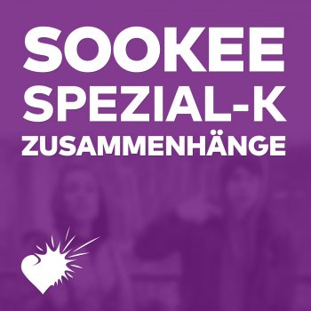 Sookee feat. Spezial-K Zusammenhänge
