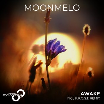 Moonmelo Awake