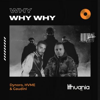 Dynoro feat. HVME & Gaudini Why Why Why