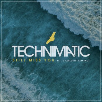 Technimatic feat. Charlotte Haining Still Miss You