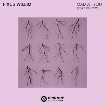 FIXL feat. Willim & Pillows Mad At You (feat. Pillows)