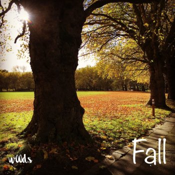 w00ds Fallen Leaves