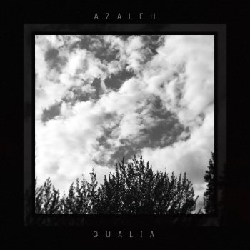 Azaleh Qualia