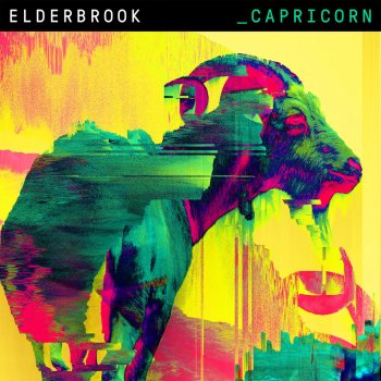 Elderbrook Capricorn