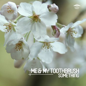 Me & My Toothbrush Something - Croatia Squad Remix