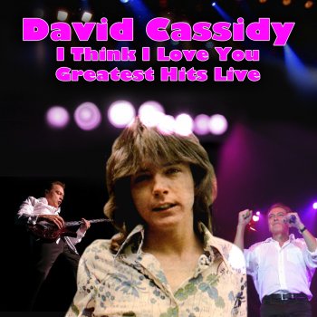 David Cassidy Cry (Live)