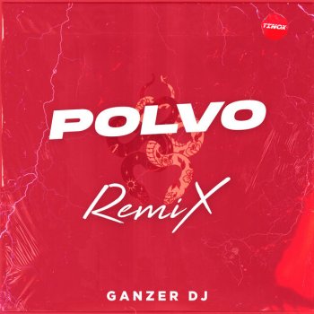 Ganzer Dj Polvo - Remix