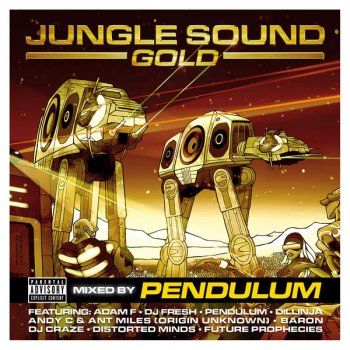Adam F Orginal Jungle Sound (Switch mix)