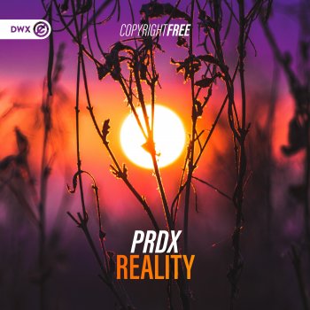 PRDX Reality (Extended Mix)