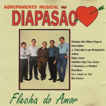 Agrupamento Musical Diapasão Flecha do Amor