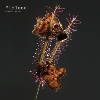 Midland FABRICLIVE 94: Midland (Continuous DJ Mix)