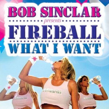 Bob Sinclar feat. Fireball What I Want - Wideboys Bassline Edit