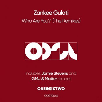 Zankee Gulati Who Are You (Gmj & Matter Remix)