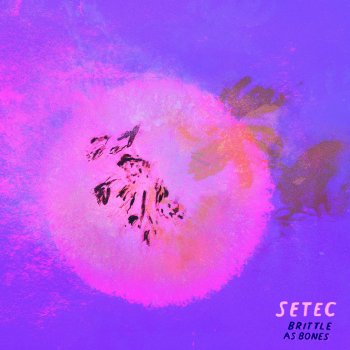 Setec Tiny Seed, A Leaf, A Tree
