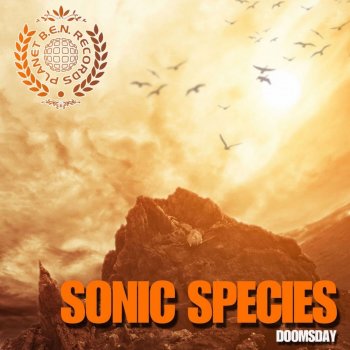 Sonic Species Drums at Dawn