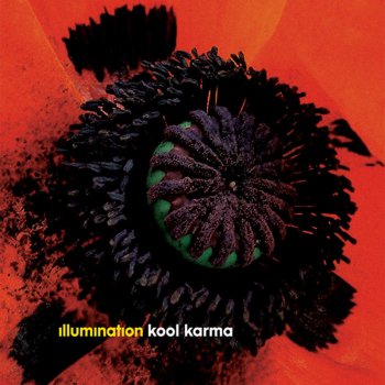 Illumination feat. Anneli Drecker Kool Karma - PM Instrumental
