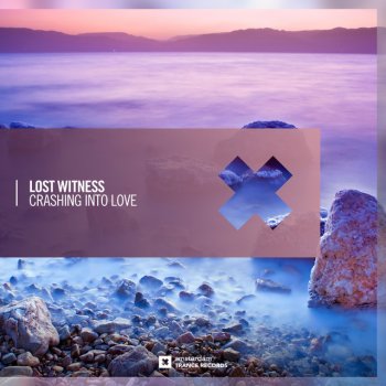 Lost Witness Crashing Into Love - Dub