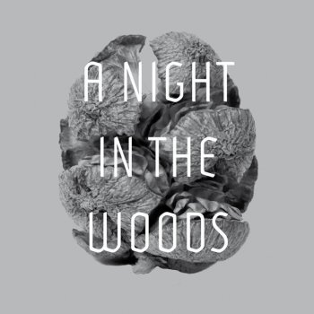 Tyler Friedman A Night in the Woods (Rivet Remix)