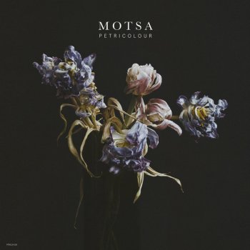 MOTSA feat. David Österle Colours