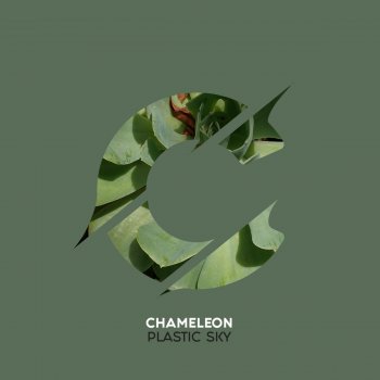 Chameleon Plastic Sky