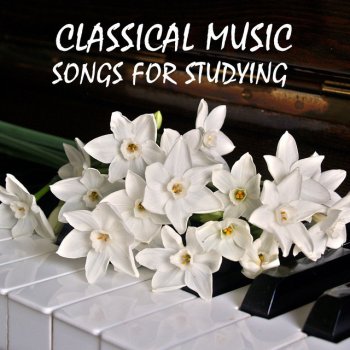 Piano Pianissimo feat. Classical Study Music & Exam Study Classical Music Orchestra Bach's Variatio 3 a 1 Clav Canone all'Unisuono