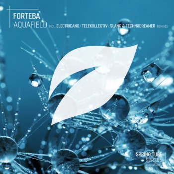 Forteba feat. Electricano Aquafield - Electricano Remix