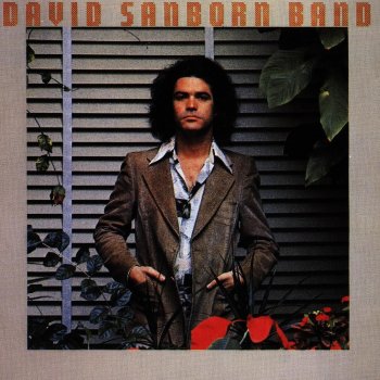David Sanborn Stranger's Arms