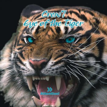 Crew 7 Eye of the Tiger (Gordon & Doyle Remix)