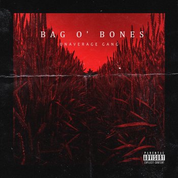Unaverage Gang Bag O’ bones