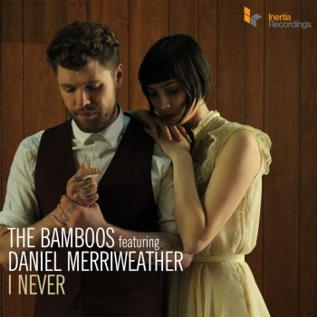 The Bamboos feat. Daniel Merriweather I Never - Lanu Remix