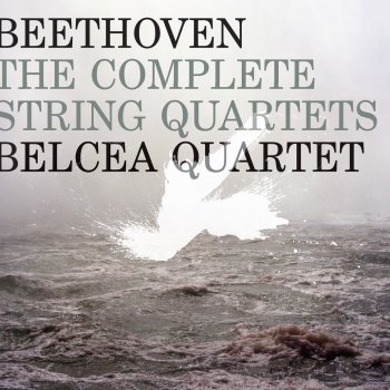 Ludwig van Beethoven feat. Belcea Quartet String Quartet No. 16 in F Major, Op. 135: II. Vivace