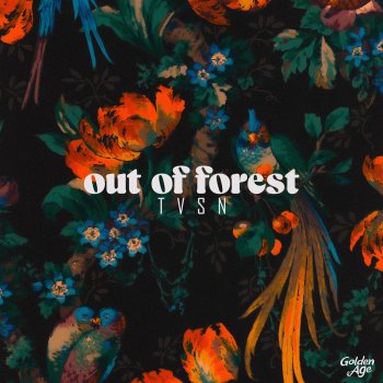 T V S N Out of Forest