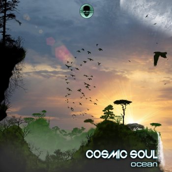 Cosmic Soul Ocean