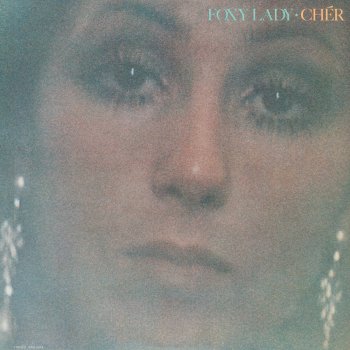 Cher Don't Hide Your Love