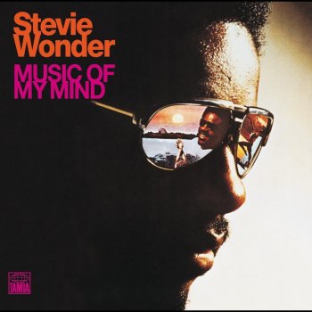 Stevie Wonder I Love Every Little Thing About You