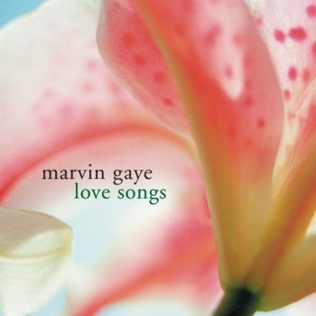 Marvin Gaye You're A Wonderful One - Single Version