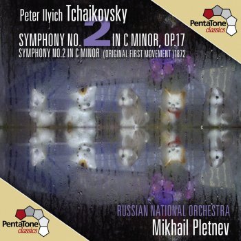 Russian National Orchestra feat. Mikhail Pletnev Symphony No. 2 in C Minor, Op. 17, "Little Russian": III. Scherzo and Trio. Allegro molto vivace