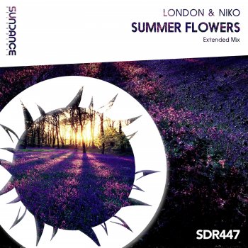 London & Niko Summer Flowers (Extended Mix)