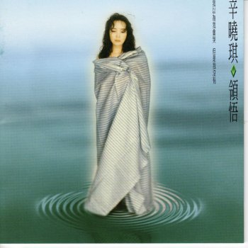 辛曉琪 領悟(1994領悟)