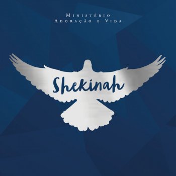 Ministério Adoração e Vida Shekinah