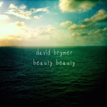 David Brymer Don't Let Me Go