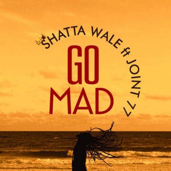 Shatta Wale feat. Joint 77 Go Mad