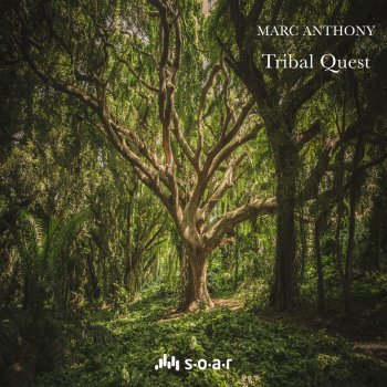 Marc Anthony feat. Seasoned Tribal Quest - Seasoned In The Jungle Remix
