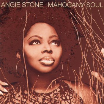Angie Stone feat. Calvin More Than a Woman