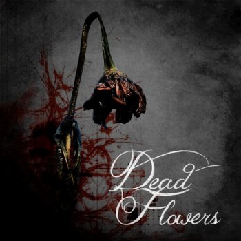 Chords Dead Flowers (dB x LooP)