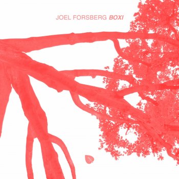 Joel Forsberg Boxi