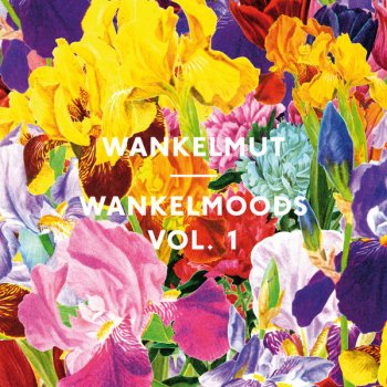 Wankelmut Wankelmoods, Vol. 1 (Continuous Mix)